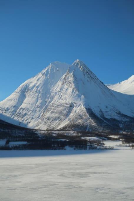 New Magnificent View Apartment Near The Centre Tromsø Exterior foto